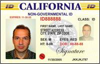 International Id Cards
