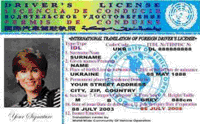international drivers license