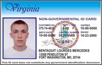 Virginia State Id Card